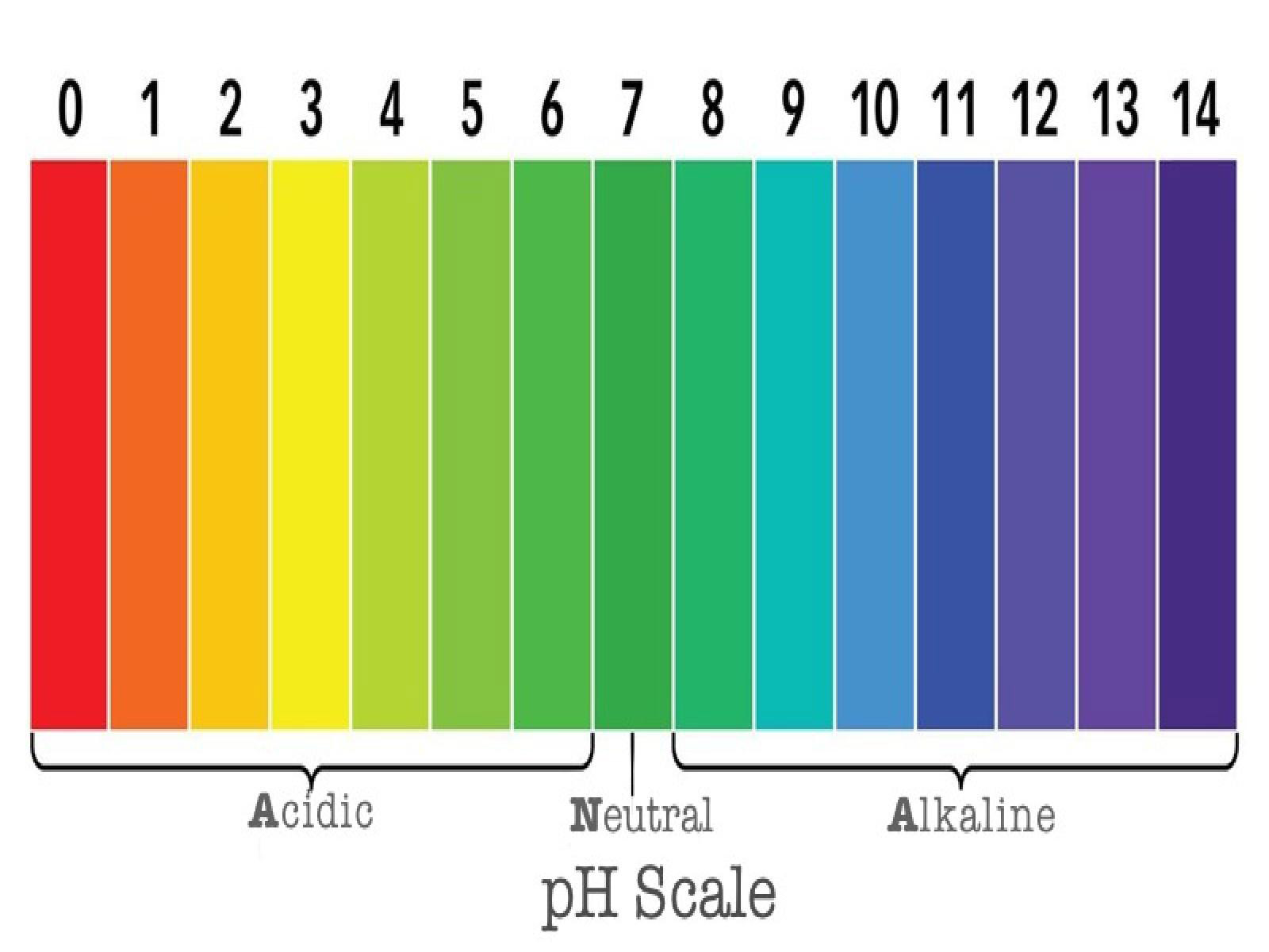 Water PH Test Chart