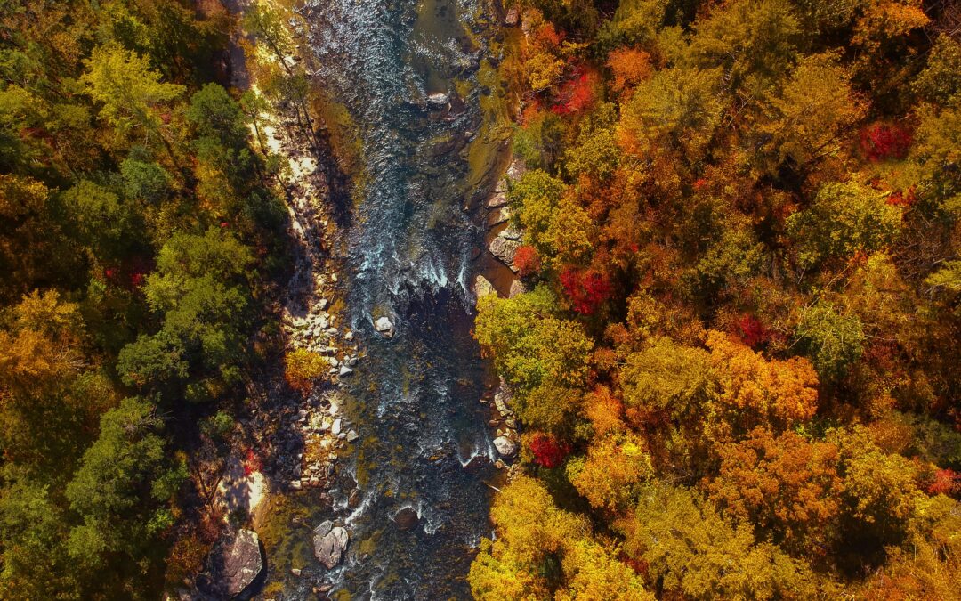 Asheville Hurricane Helene Blue Ridge Mountains